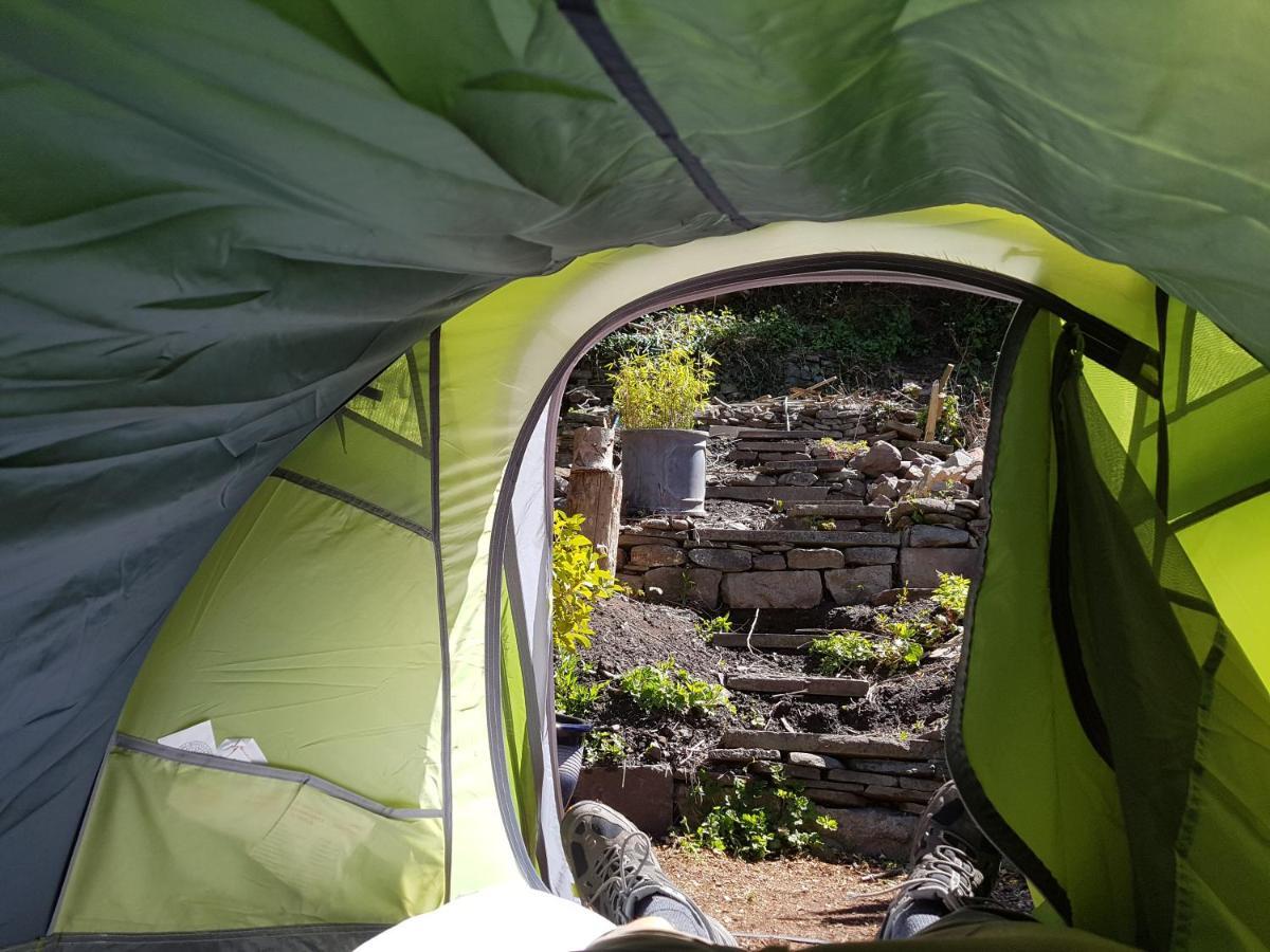 'Yellow Wood Micro Hostel-Eco Urban Bothy Style Very Basic But Cosy Redecorating But Cheap & Friendly Quiet Time Lockout 11Pm-7Am Bring Towel Or Hire Brecon Eksteriør bilde